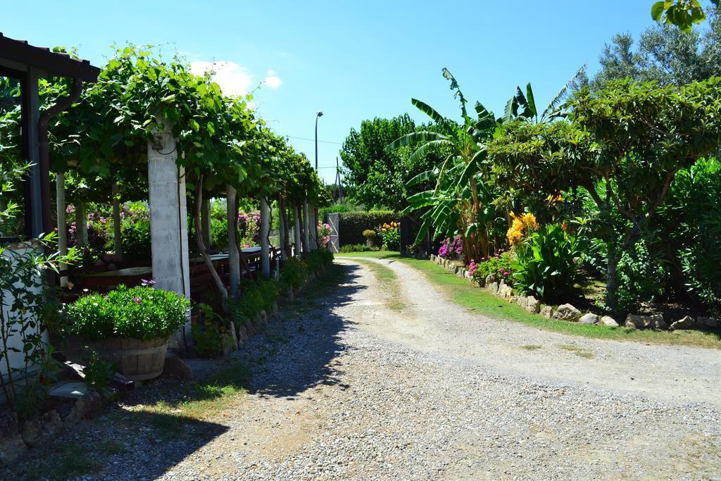 Agriturismo Il Maresciallo Villa Кариати Екстериор снимка