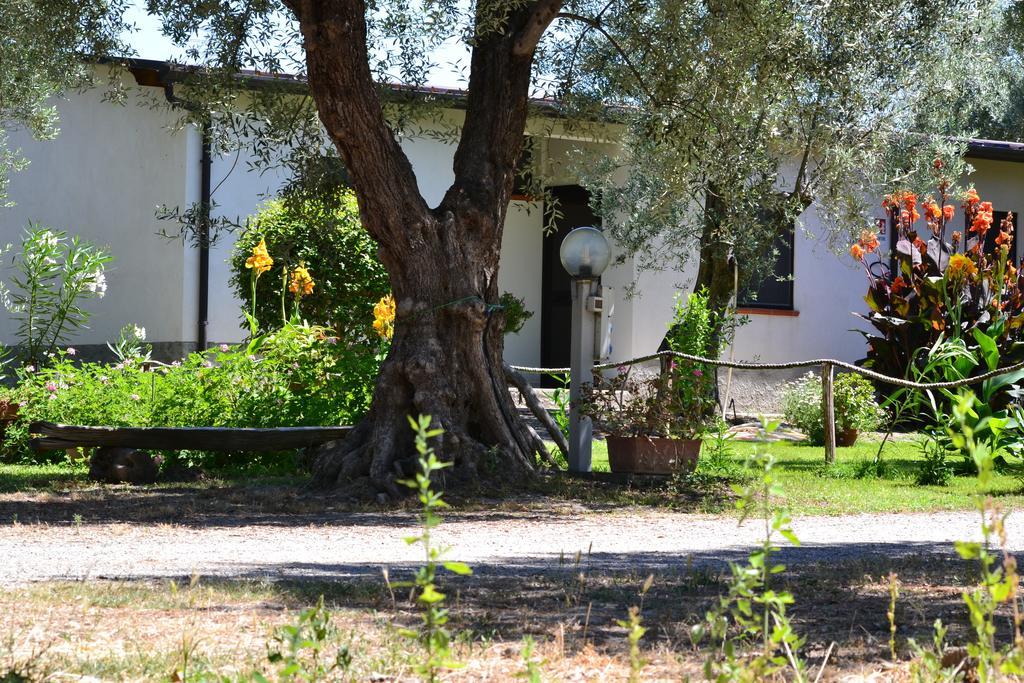 Agriturismo Il Maresciallo Villa Кариати Стая снимка